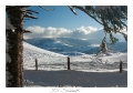 2021_01_Rondfaing-089