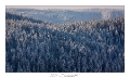 2021_01_Rondfaing-094