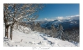 2021_01_Rondfaing-105