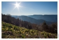 Haut_du_Tot_Moyemont