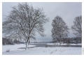 Lac_de_Bouzey