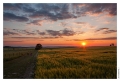 Pays_de_Pange_Fresnois
